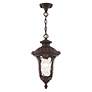 7_Oxford 1 Light Bronze Outdoor Pendant Lantern more views