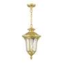 3_Oxford 1 Light Soft Gold Outdoor Medium Pendant Lantern more views