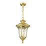 4_Oxford 1 Light Soft Gold Outdoor Medium Pendant Lantern more views
