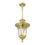 5_Oxford 1 Light Soft Gold Outdoor Medium Pendant Lantern more views