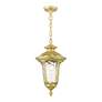6_Oxford 1 Light Soft Gold Outdoor Medium Pendant Lantern more views