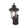 Oxford 15 1/2" High Bronze Outdoor Wall Light in scene