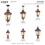 4_Oxford 15 1/2" High Imperial Bronze Outdoor Post Light more views