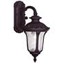 3_Oxford 16 1/4" High Bronze Outdoor Wall Light