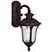 Oxford 16 1/4" High Bronze Outdoor Wall Light