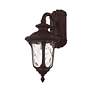 Oxford 16 1/4" High Bronze Outdoor Wall Light in scene
