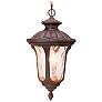 3_Oxford 17 1/2" High Imperial Bronze Outdoor Hanging Light