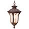 Oxford 17 1/2" High Imperial Bronze Outdoor Hanging Light