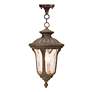 4_Oxford 17 1/2" High Imperial Bronze Outdoor Hanging Light more views