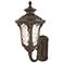 Oxford 18-in H Imperial Bronze Medium Base (E-26) Outdoor Wall Light