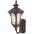 Oxford 18-in H Imperial Bronze Medium Base (E-26) Outdoor Wall Light