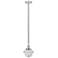 Oxford 7.5" Polished Nickel Mini Pendant w/ Seedy Shade