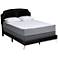 Oxley Black Velvet Fabric Queen Size Panel Bed