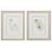 Oyster 9"W x 11"H Framed Art Set of 2