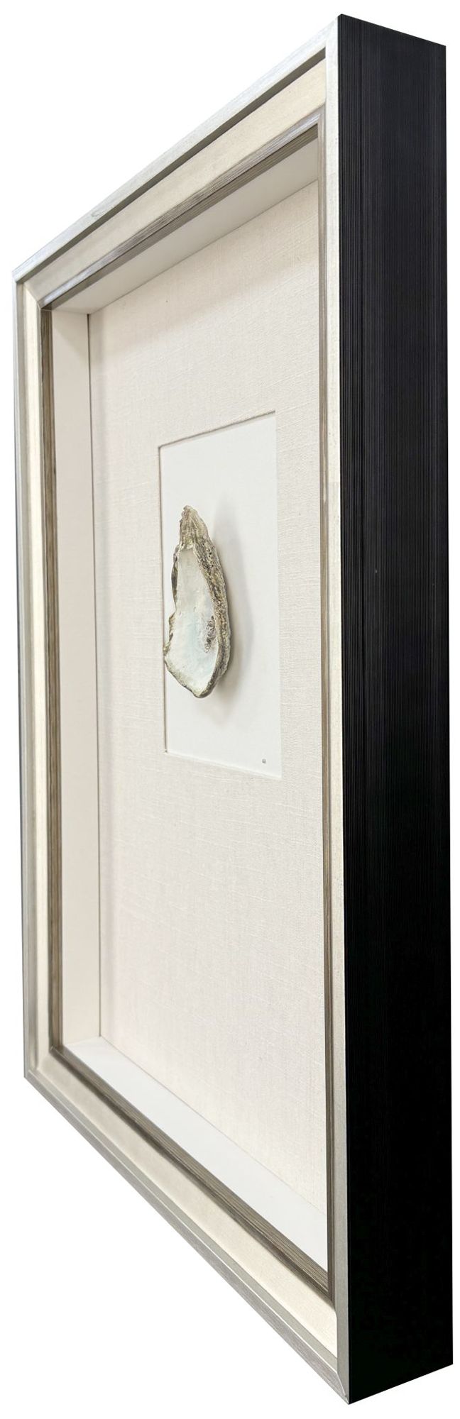 Image 2 Oyster in Paradise I 19"W x 26"H Framed Art more views