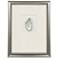 Oyster in Paradise II 19"W x 26"H Framed Art