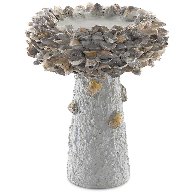 Image 1 Oyster Shell Medium Bird Bath