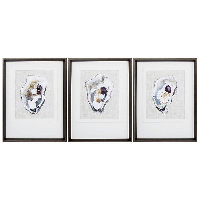 Image 1 Oyster Shell Study 17"W x 23"H Framed Art Set of 3