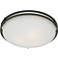 Ozark Collection 16" Wide Ceiling Light Fixture