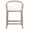 Pacific Counter Stool, White Speckle Flat Rope, LiveSmart Peyton-Pearl