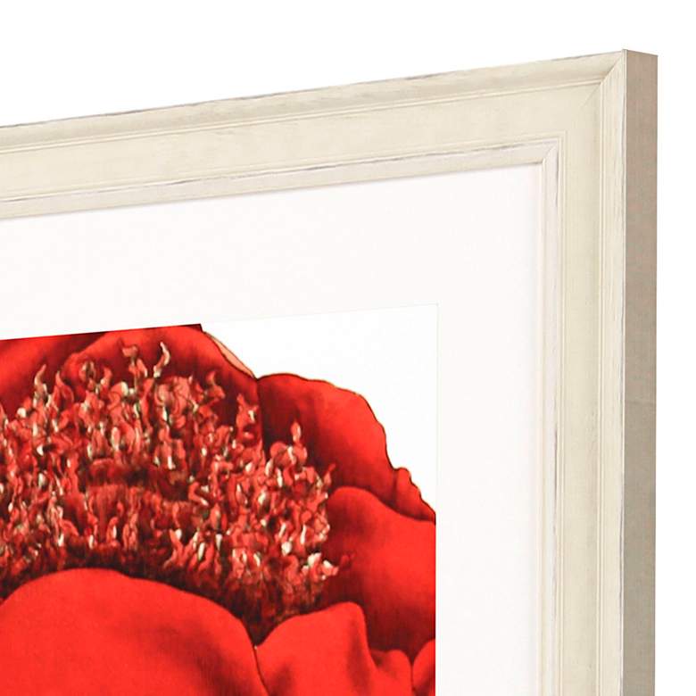 Image 4 Paeonia Officinalis 31"W x 41"H Framed Art more views