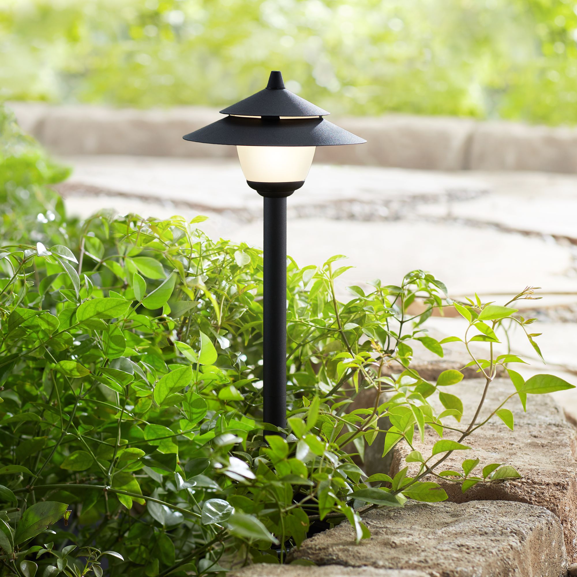 Black low store voltage landscape lighting