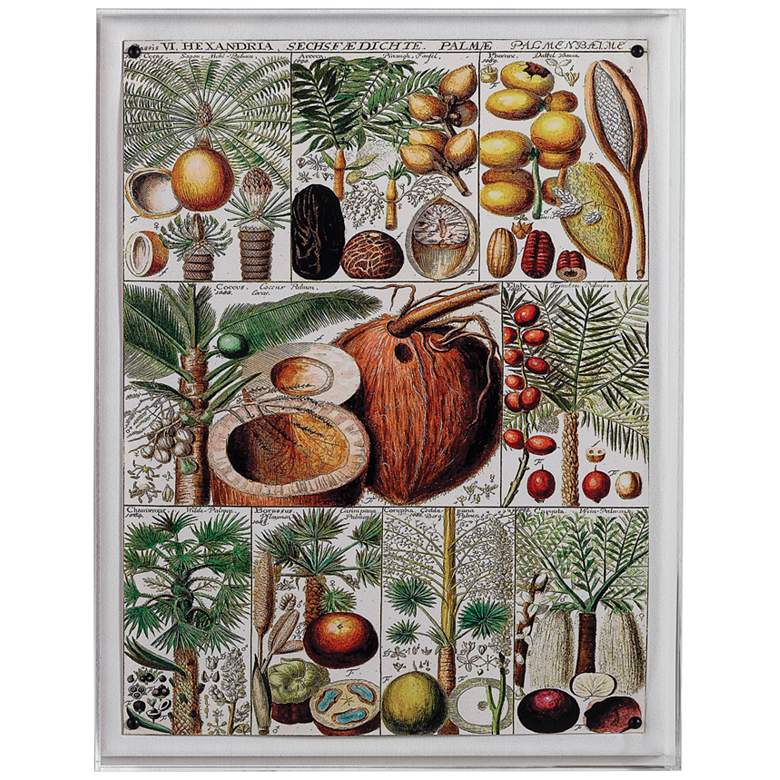 Image 1 Palm Chart 26" High Rectangular Giclee Framed Wall Art