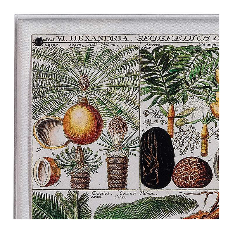 Image 2 Palm Chart 26" High Rectangular Giclee Framed Wall Art more views
