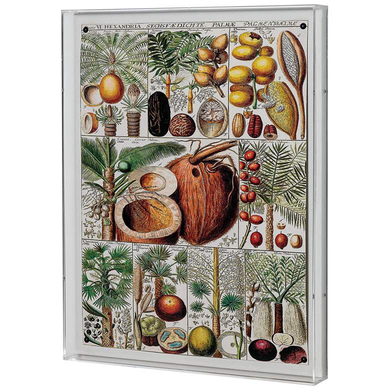 Image 3 Palm Chart 26" High Rectangular Giclee Framed Wall Art more views
