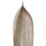 Palm Seed Pod Flat Nickel 47" High Metal Sculpture