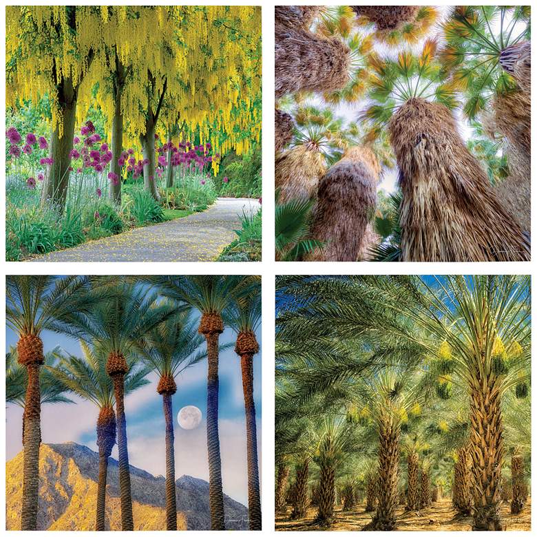 Image 3 Palm Tree Groves 20 inch Square 4-Piece Glass Wall Art Set