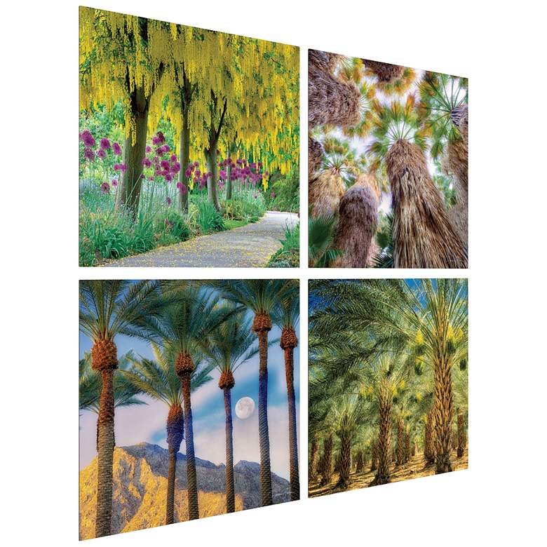 Image 5 Palm Tree Groves 20 inch Square 4-Piece Glass Wall Art Set more views