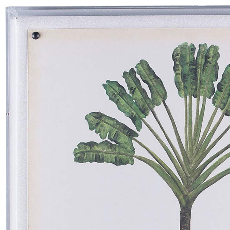 Image 2 Palm Tree I 26" High Shadow Box Framed Canvas Wall Art more views