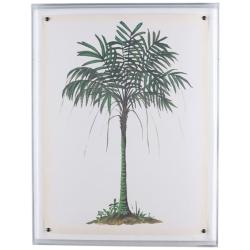 Palm Tree II 26&quot; High Shadow Box Framed Canvas Wall Art