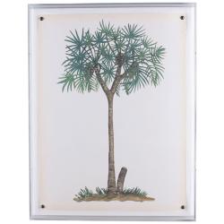 Palm Tree III 26&quot; High Shadow Box Framed Canvas Wall Art