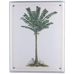 Palm Tree IV 26&quot; High Shadow Box Framed Canvas Wall Art