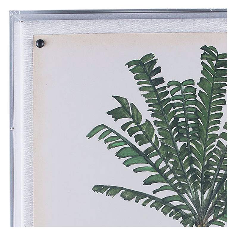 Image 2 Palm Tree IV 26" High Shadow Box Framed Canvas Wall Art more views