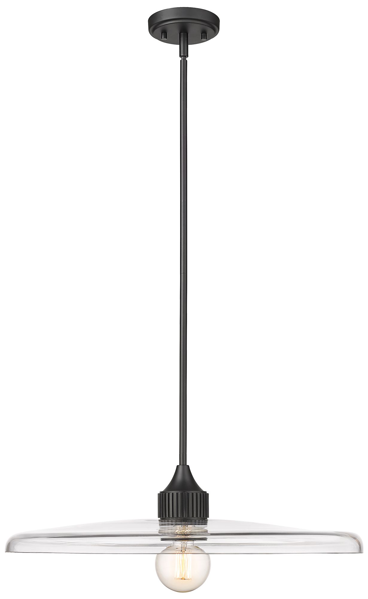 Paloma by Z-Lite Matte Black 24 inch 1 Light Pendant