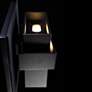 Pandora 9"H x 9"W 2-Light Outdoor Wall Light in Black