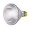 PAR30 50 Watt Long Neck Flood Light Bulb