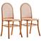 Paragon Matte Nature Wood and Cane Dining Chairs Set of 2