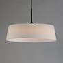 3_Paramount 21" LED Pendant Black more views