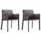 Paris Armchair in Grey (Set of 2)