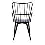 Parisa Black Steel and Wood Accent Dining Chair