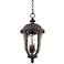 Park Sienna 20" High Bronze Hammered Glass Outdoor Hanging Light