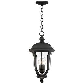 Image2 of Park Sienna 20" High Traditional Black Finish Outdoor Hanging Light
