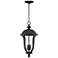 Park Sienna 20" High Traditional Black Finish Outdoor Hanging Light