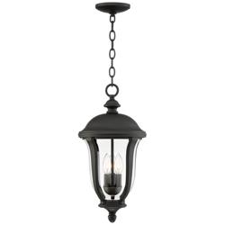Park Sienna 20&quot; High Traditional Black Finish Outdoor Hanging Light