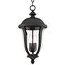 Park Sienna 20" High Traditional Black Finish Outdoor Hanging Light