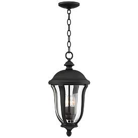 Image5 of Park Sienna 20" High Traditional Black Finish Outdoor Hanging Light more views